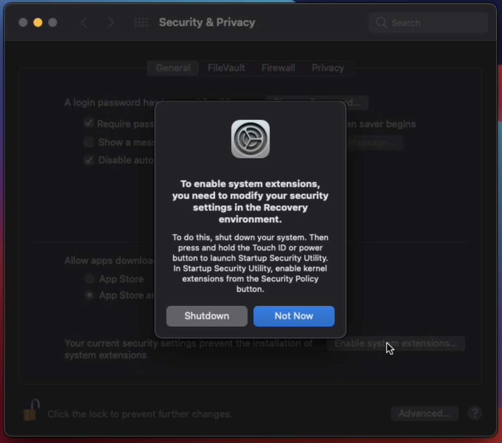 Security___Privacy.png