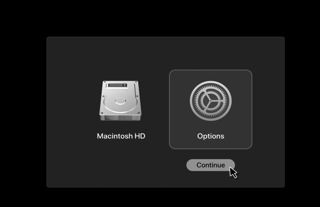 Options.png